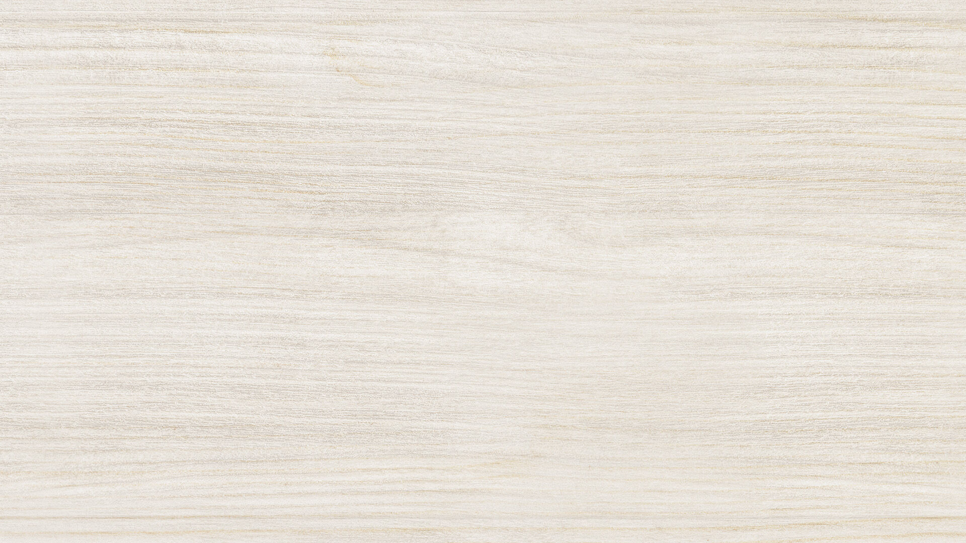 bg_header